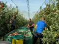 Hofladen Obstgut Müller in Neuwied - Torney Hofladen Obstgut Müller in Neuwied - Torney