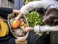 Marktschwärmer Berlin - Weißensee - Brotfabrik in Berlin