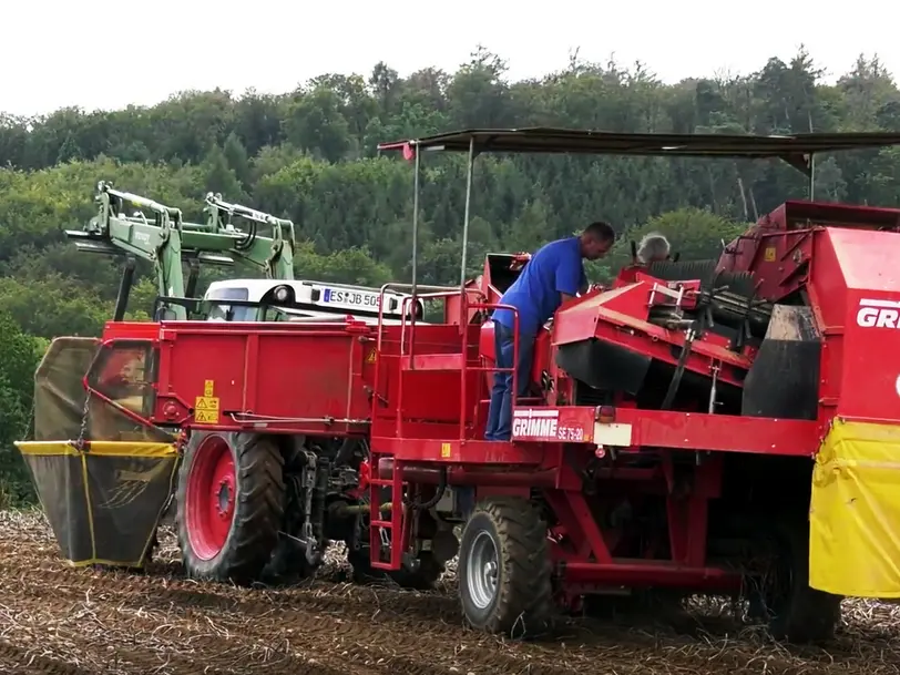 Obst & Gemüse Berger in Lichtenwald