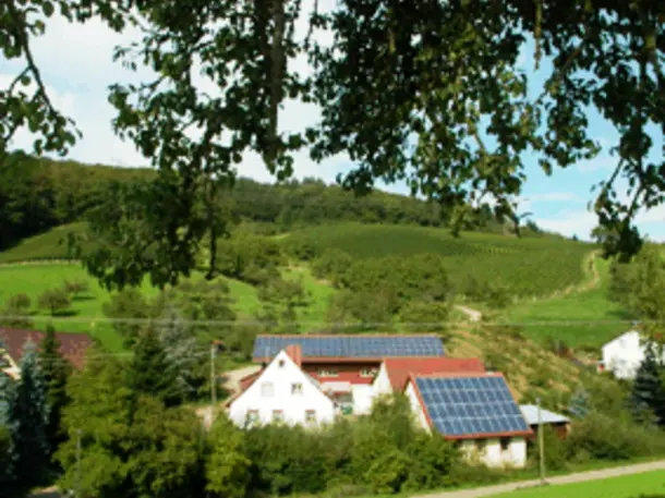 Kaltenbach. Wildtäler Wein & Hofladen