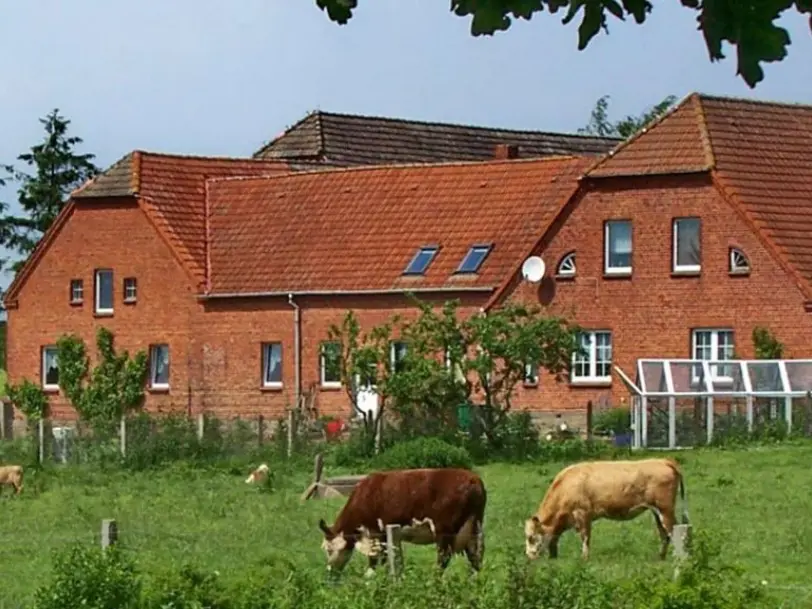 Bauernhof Jung in Dorf Reppenhagen