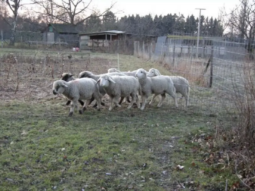 Hof am Deich in Meerbusch