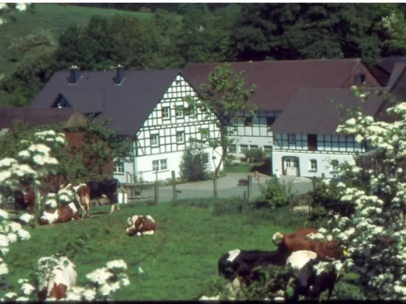 Sauerländer Bauernkäserei Löffler in Schmallenberg-Dorheim