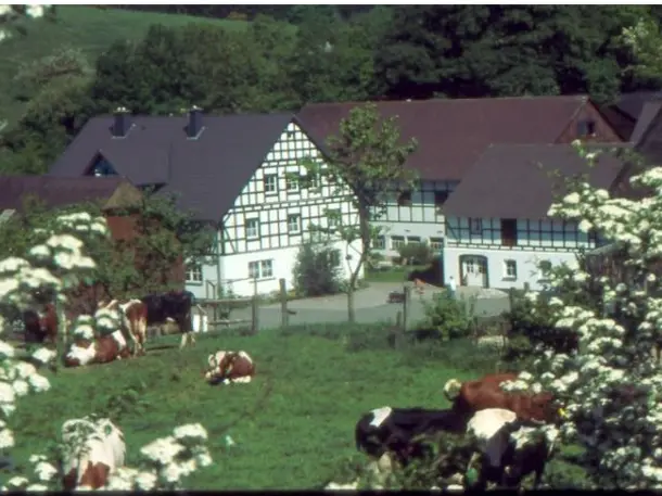 Sauerländer Bauernkäserei Löffler