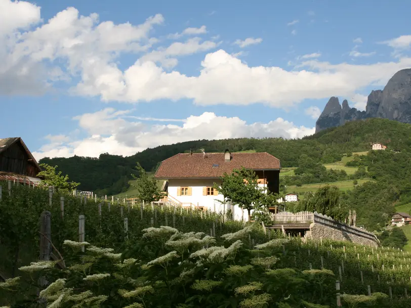 Weingut Ebner in Atzwang-Ritten