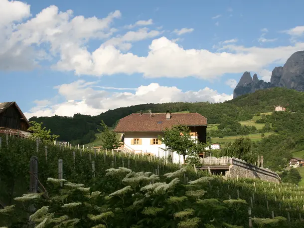 Weingut Ebner