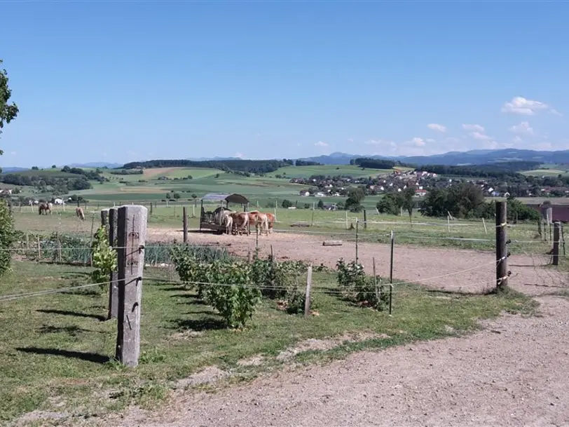 Stutenmilchhof Gallistl in St. Leonhard am Forst