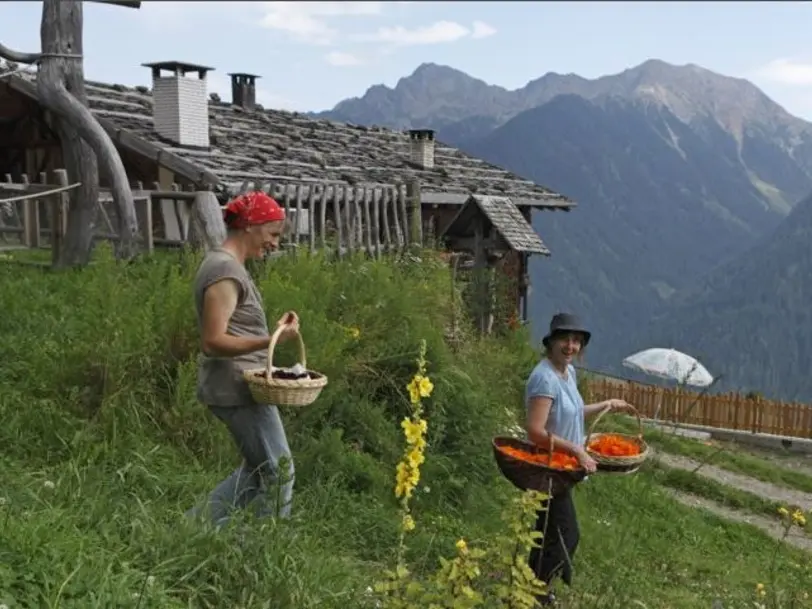 Biohof Unterschweig in St. Nikolaus im Ultental