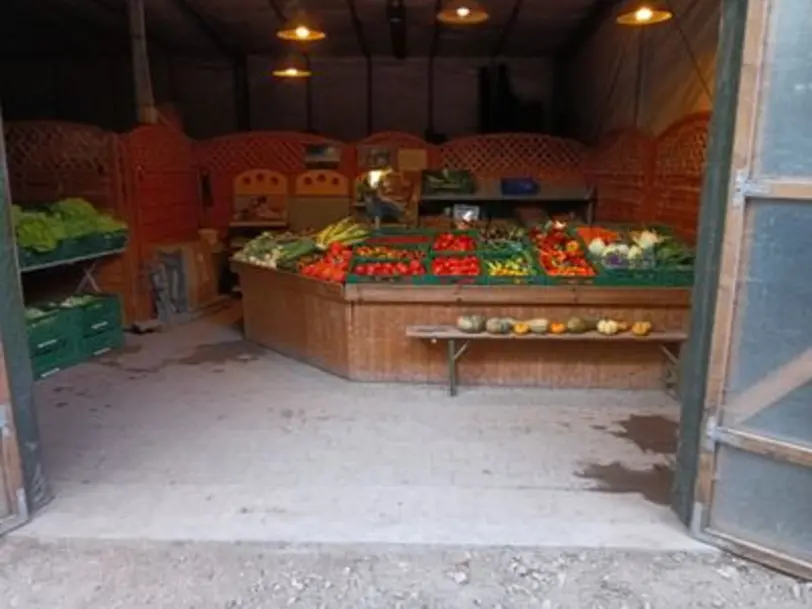 Feldmann Gemüsebau in Worms-Leiselheim