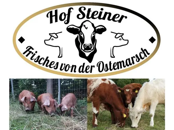 Hof Steiner