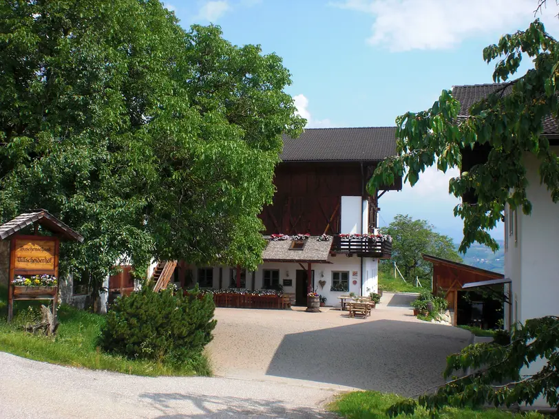 Villscheider in Brixen
