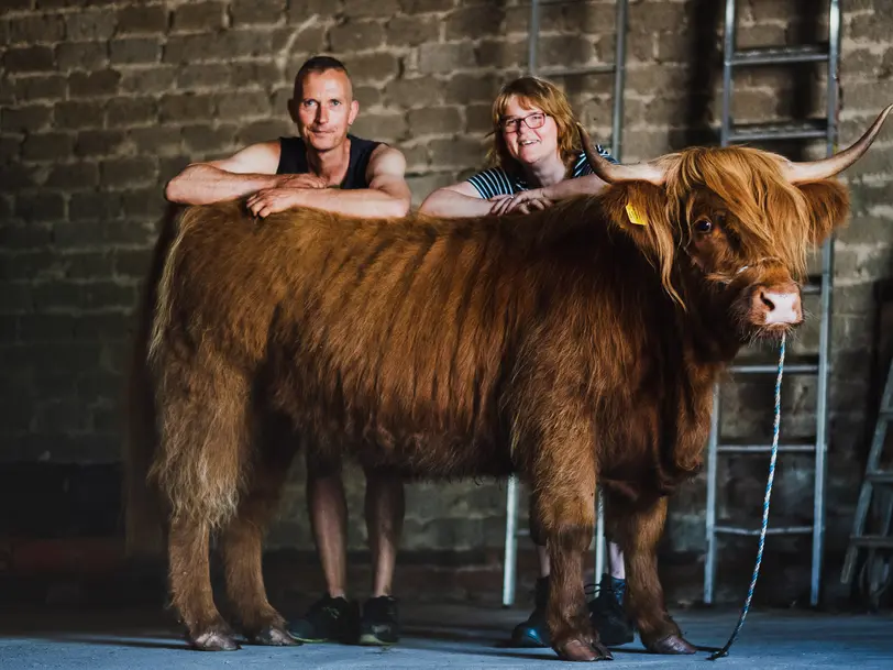 Hilgemeiers beef & more in Diepenau- Steinbrink, Landkreis Nienburg