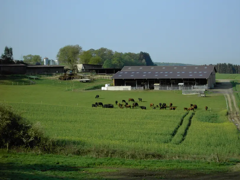 Hirtenwiesenhof / Gasthof Hessenstube in Ortenberg / Eckartsborn