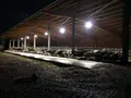Waldhof Pensionspferde & Gallowayzucht; Taunus Wagyu in Niedernhausen Waldhof Pensionspferde & Gallowayzucht; Taunus Wagyu in Niedernhausen