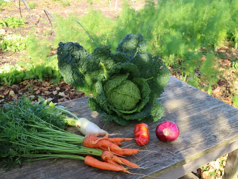 Hof Dreyer e.V. in Bad Pyrmont