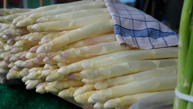 Frischer vom Feld geernteter Spargel. Regional vom Hofladen oder dem Markt um die Ecke.