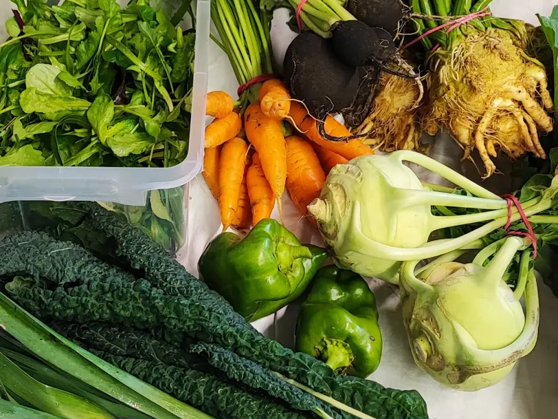 Gemüse Gartenzwerg in Wonsheim