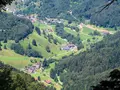 Käserei Glocknerhof in Münstertal/Hochschwarzwald