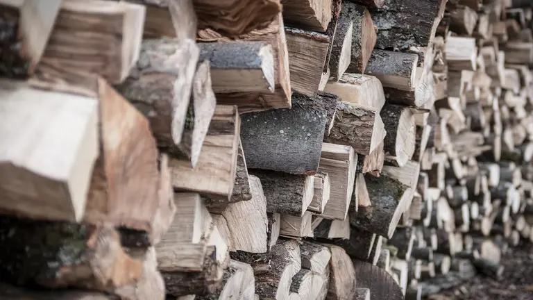 Brennholz und Holzscheite direkt aus dem Wald und gut getrocknet.