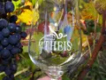 Weingut Theis in Kirschroth