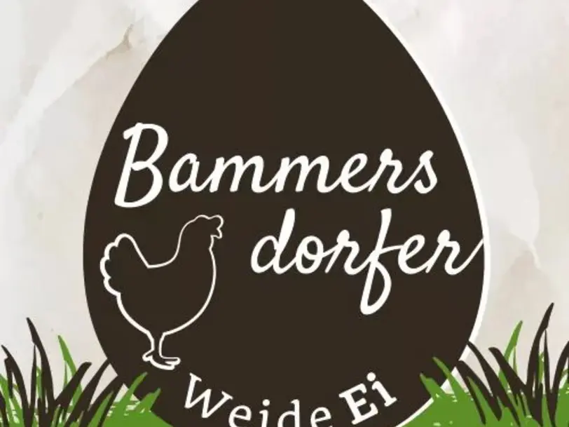 Bammersdorfer Weide Ei in Merkendorf