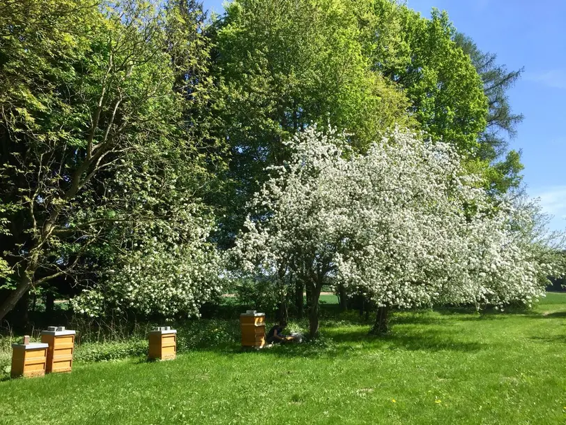 Imkerei Heider in Kühbach