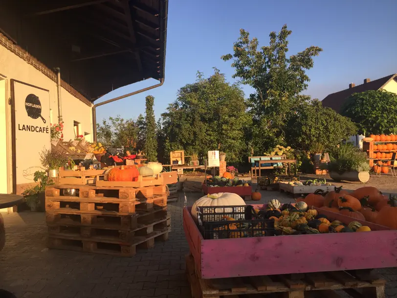 Gäuboden- Kürbis & Erlebnisbauernhof Schreyerhof-Atting in Atting