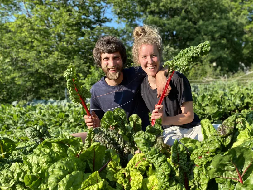 Köhlingshof • Helena und Valentin in Willebadessen