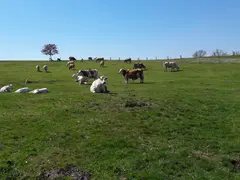 Buchbichl Hof Familie Märkl 