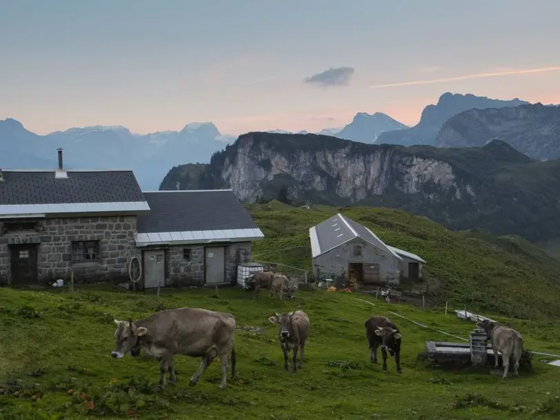 Alp Gruppen in Schwanden