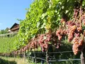 Oberpartegger in Villanders