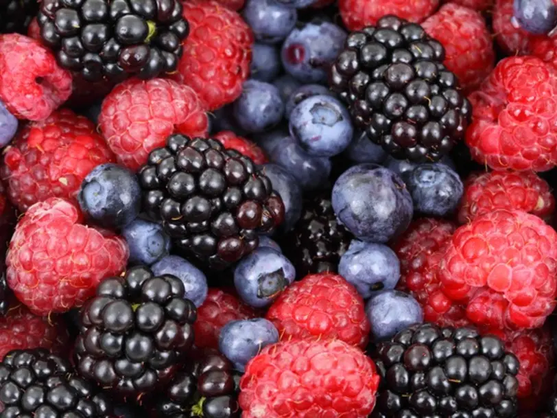 Kößmeier - Beeren zum Selbstpflücken in Delbrück