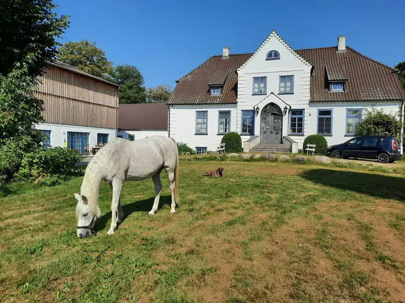 Estruphof in Schleswig-Holstein - Großsolt