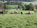 Hof Stroh  in Gedern / Mittel Seemen