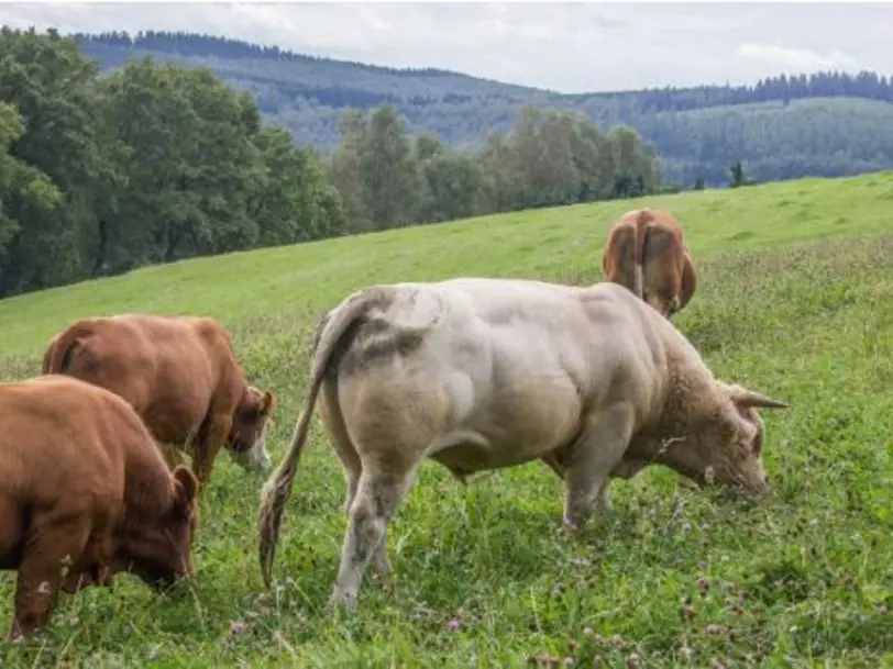 Biohof Scharf in Kreuztal-Ferndorf