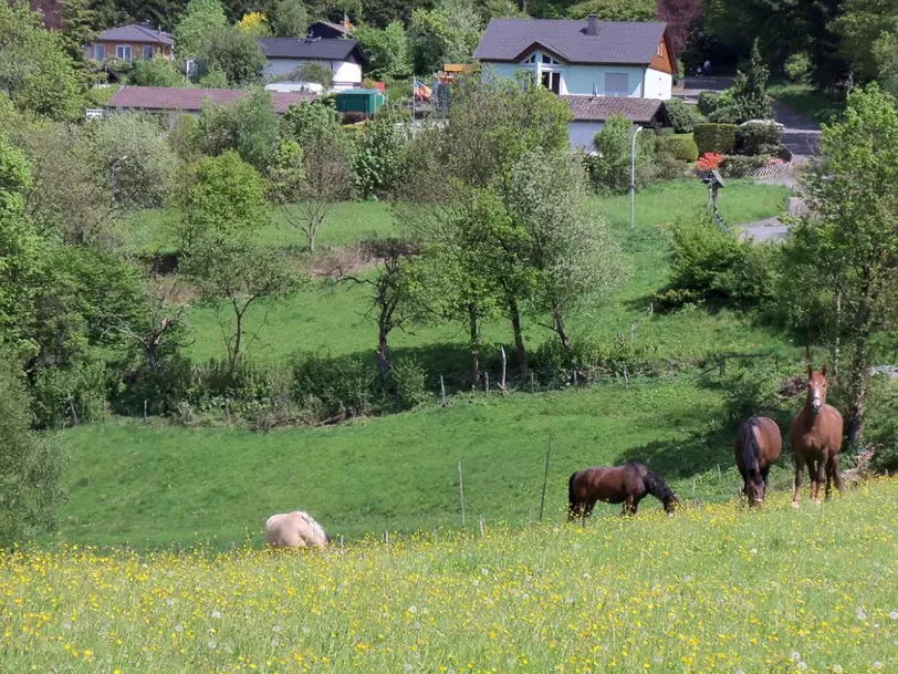 Ferienhof Repke in Werdohl-Pungelscheid