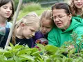 Tiggeshof - Der Bio- und Erlebnisbauernhof in Arnsberg