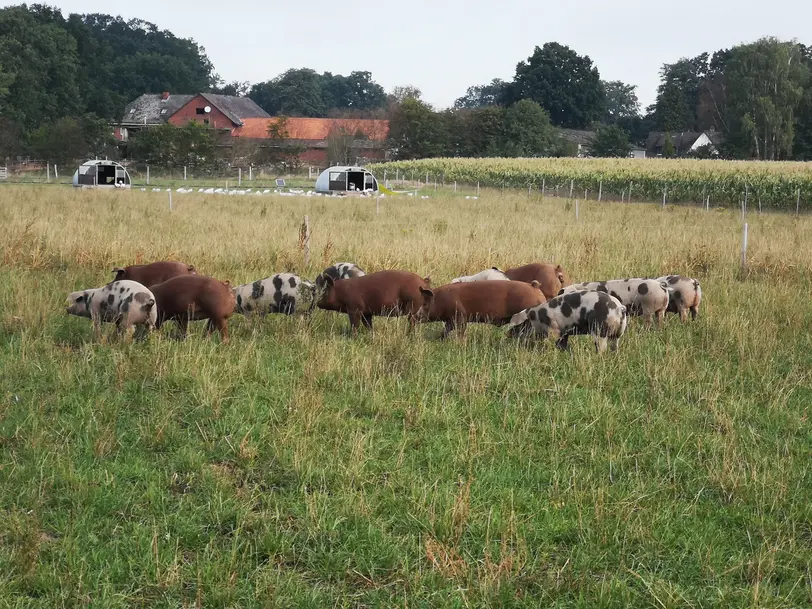 Klangens-Hof in Bötersen