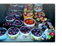 Apfel-Hof