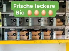 Bio Folz - Weber
