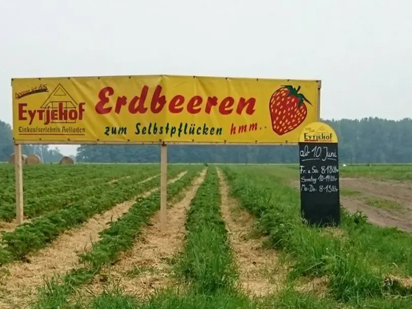 EytjeHof   Familie Eyting in Wiefelstede OT Gristede