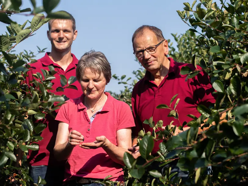 Aronia Ostetal in Kalbe