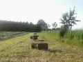Landwirtschaftsbetrieb Johannishöhe Tharandt in Tharandt Landwirtschaftsbetrieb Johannishöhe Tharandt in Tharandt