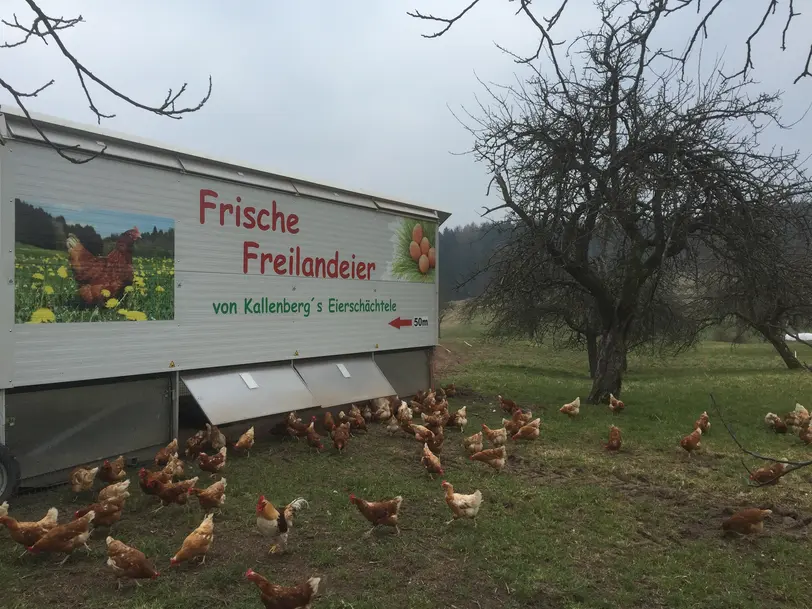 Kallenbergs Eierschächtele  in Althütte